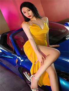 《毛泽东与斯诺,》